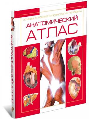 Анатомический атлас. Основы строения и физиологии человека